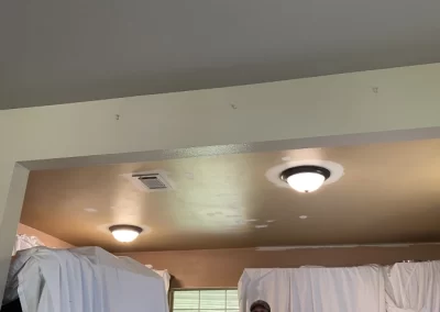 Painting and Handyman Services